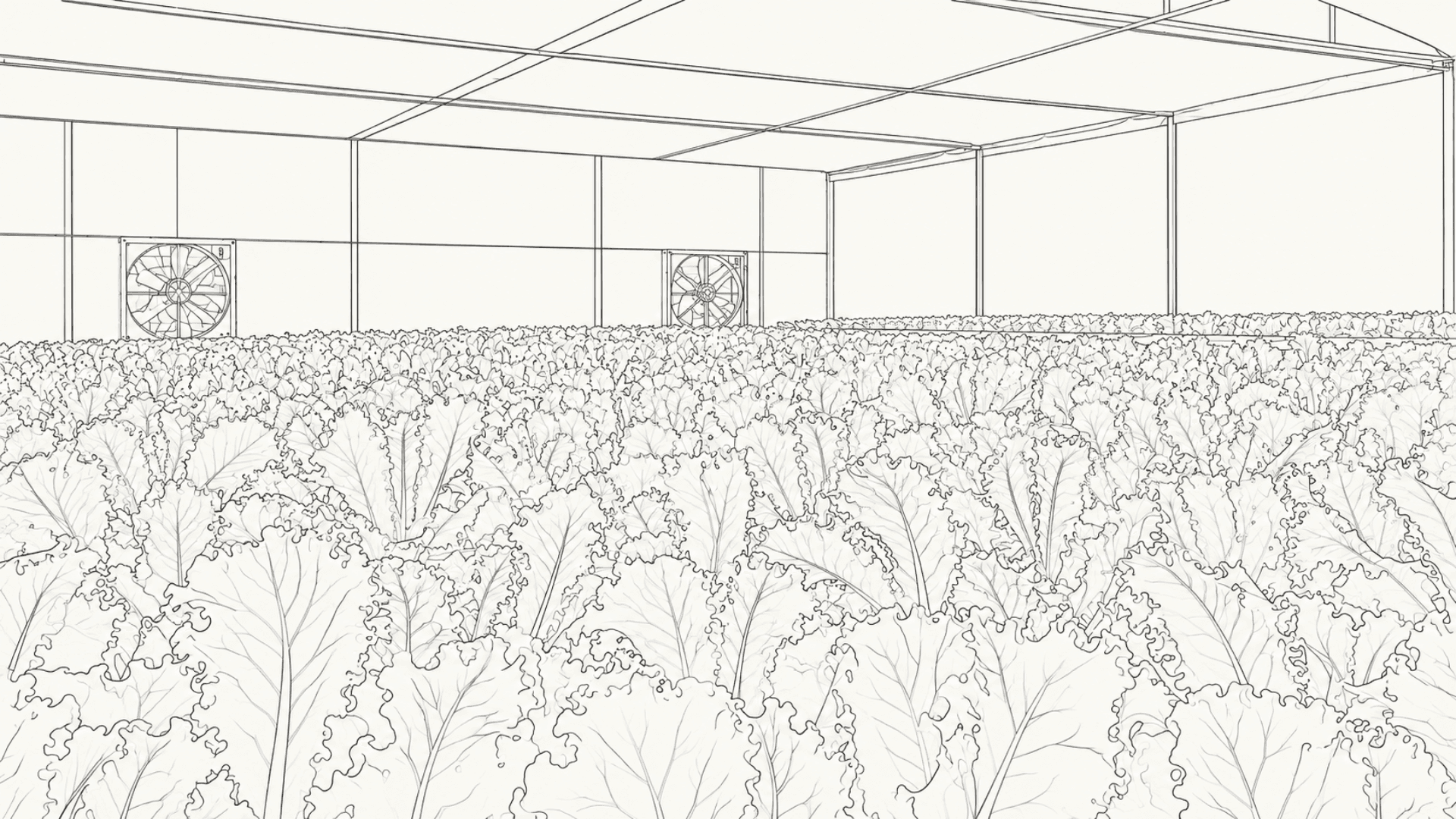 Agricultural automation systems across greenhouse and field operations