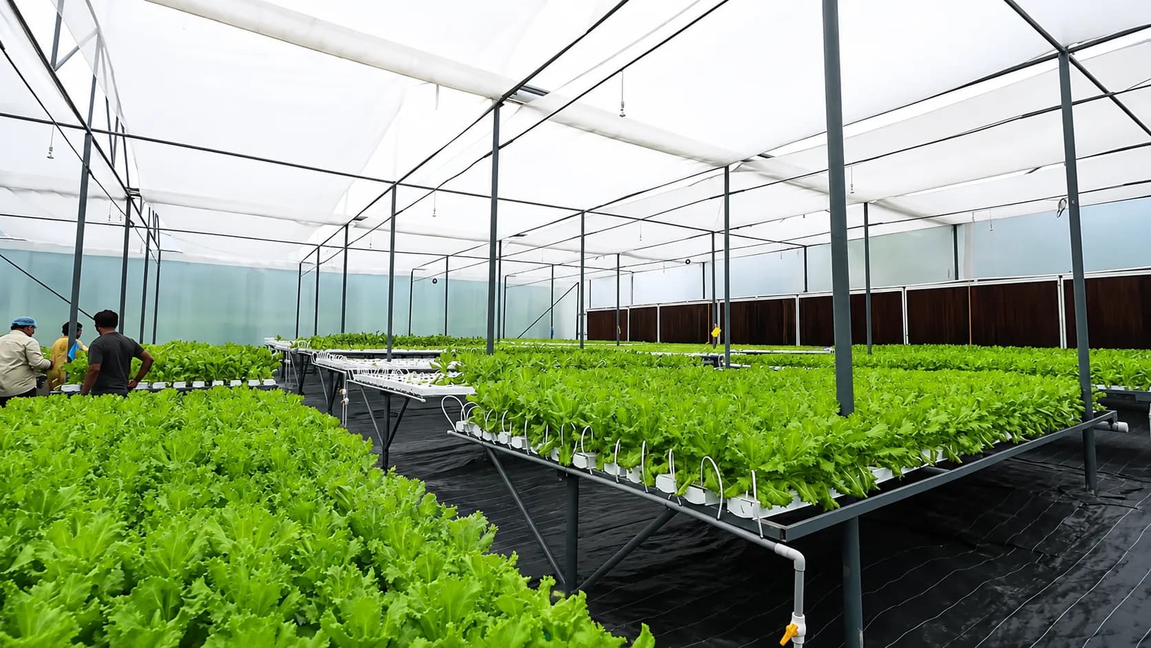 Integrated farm automation platform in use